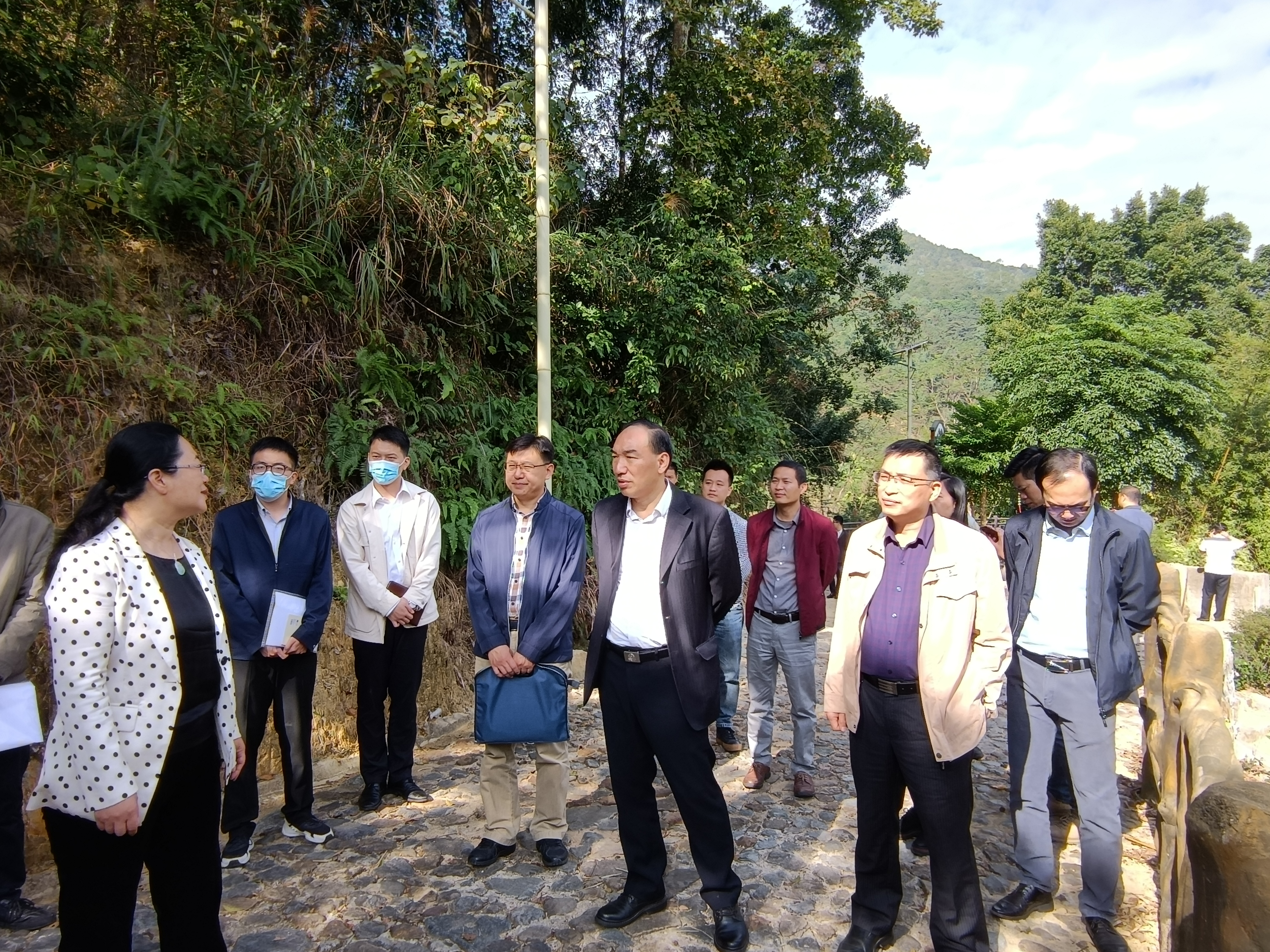 赤凤镇新闻快报，最新消息汇总