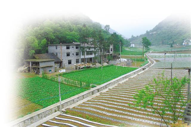 雅则村典范项目，引领乡村发展的领航者