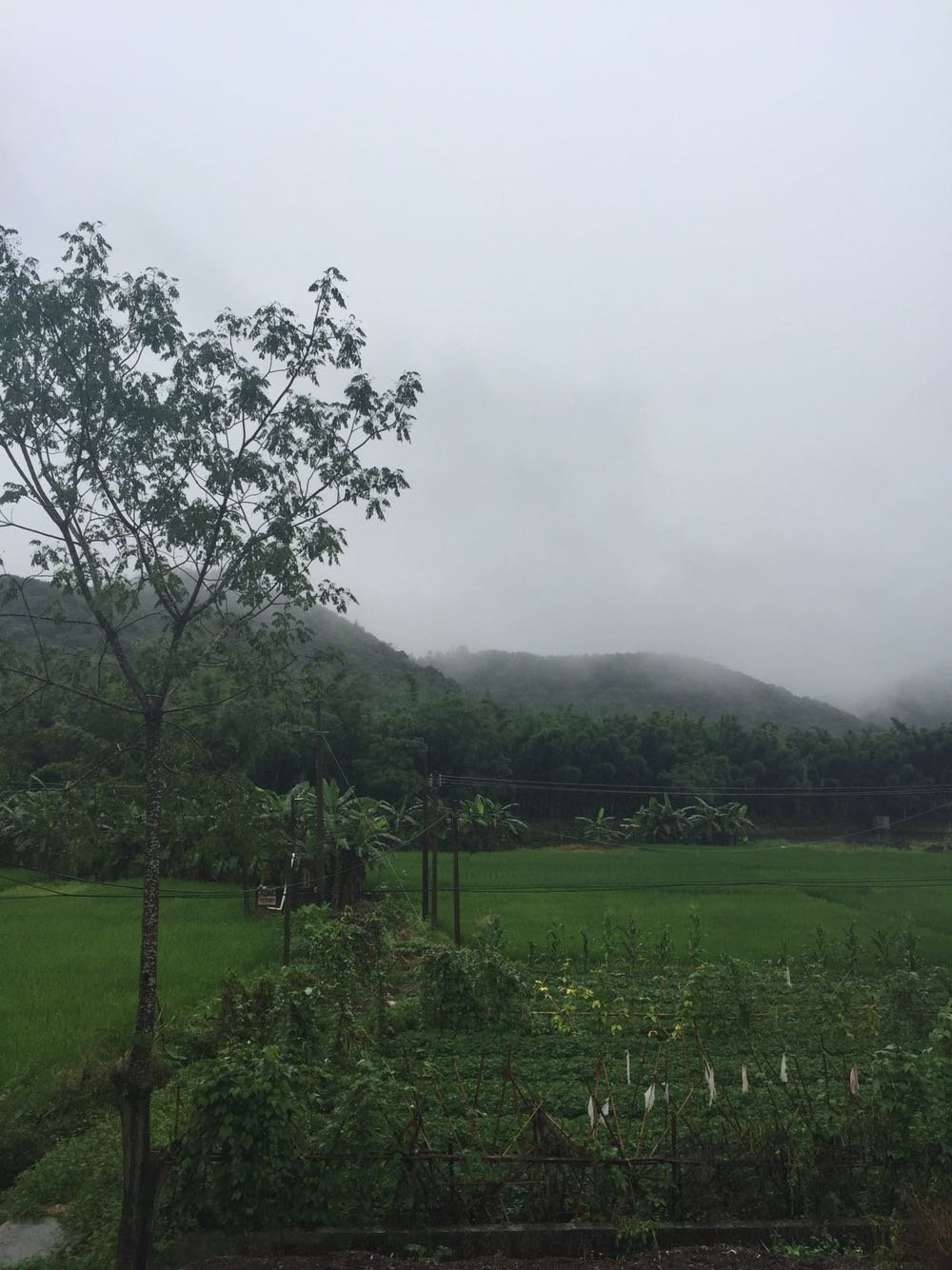 森布村最新天气情况预测