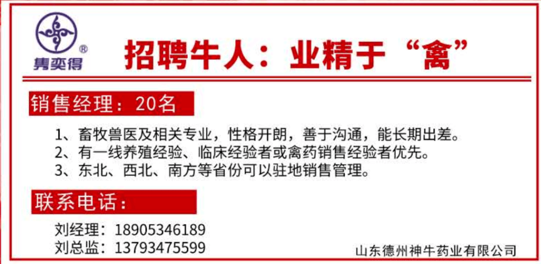 牛城乡最新招聘信息总览