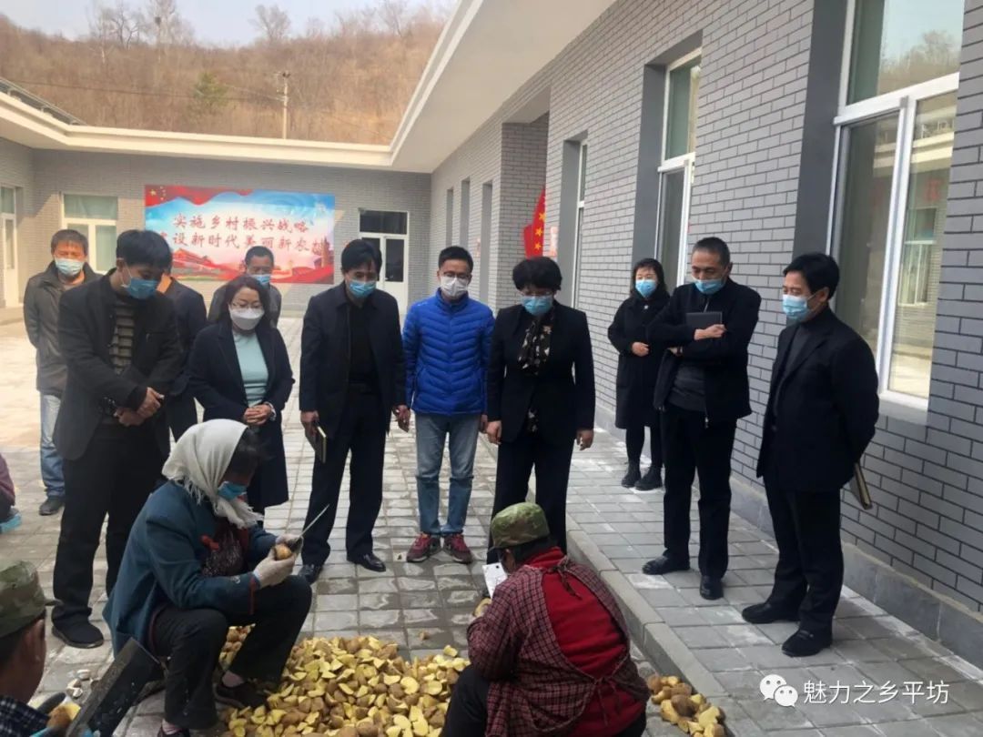 素珠营子乡领导团队引领新征程发展之路