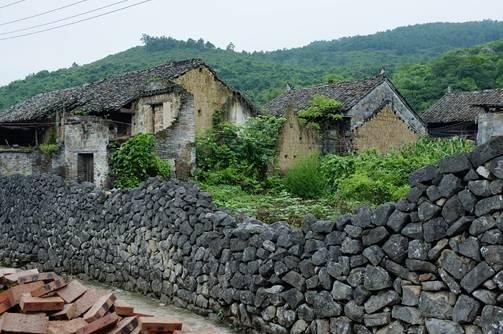 柳城县特殊教育事业单位招聘信息与趋势分析报告