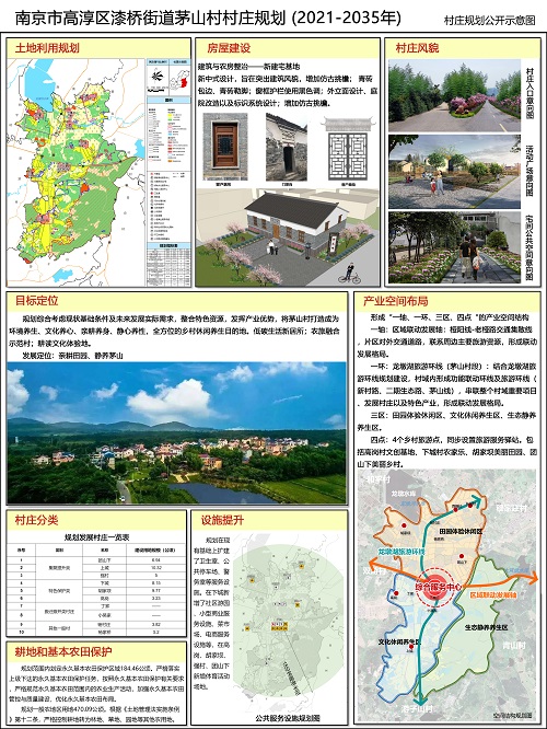 中心村委会最新发展规划概览